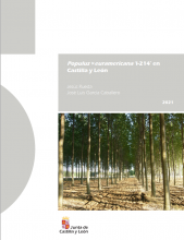 Populus ×euramericana ‘I-214’ en Castilla y León